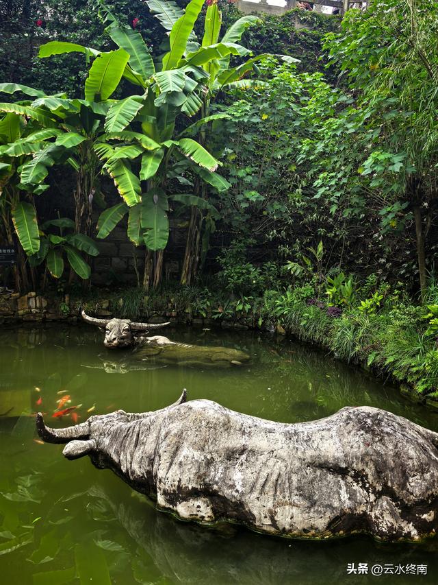 一天收入500多两银子，世界第一口1000米的深井，现还在产手工盐