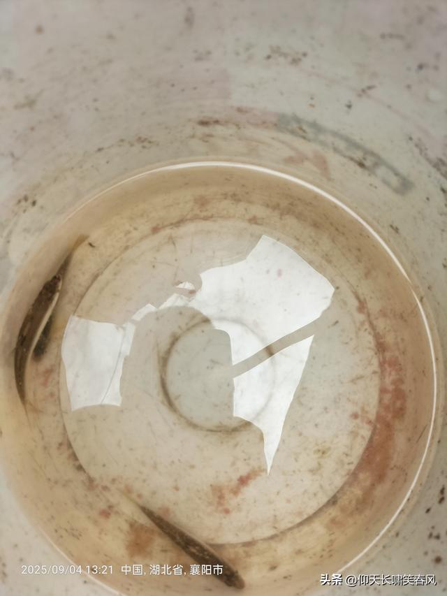 走进襄阳小镇～长坪镇