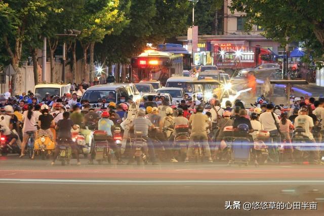 鸟儿的快乐启示：摆脱欲望，回归生命本真