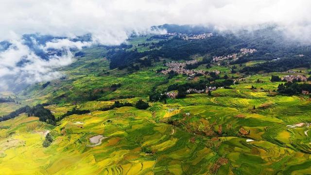 中信助力｜《目的地：中国！》走进元阳，共绘文旅新篇