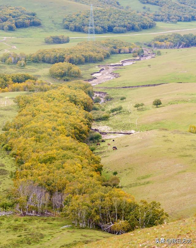 我是成都人，刚从河北丰宁回来	，憋了一肚子感受和疑问不吐不快。