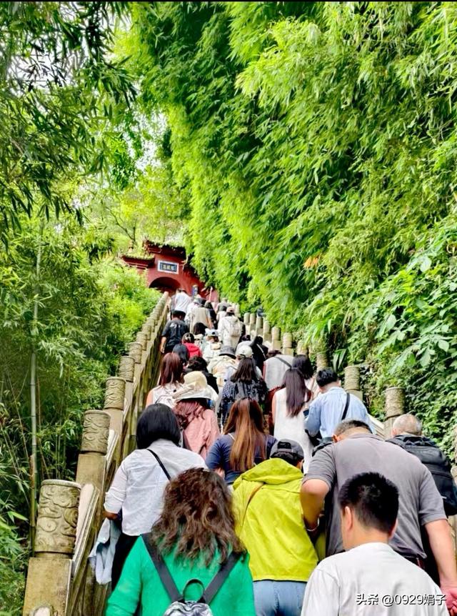 旅游，是经历是体验也是收获