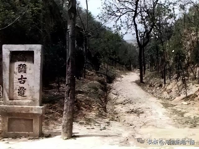 免门票！有优惠！新疆人的专属福利来啦~