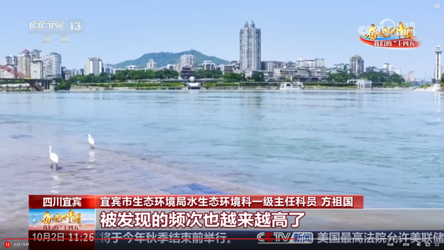 庆中秋双节假期盘点：文旅盛宴绘就团圆画卷