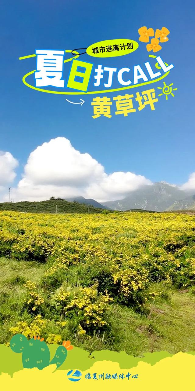 海报｜夏日，奔赴那片黄草坪