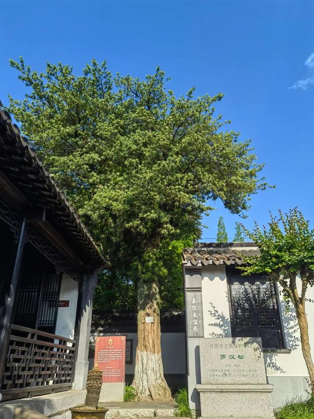 读澄之城：在古今交融中触摸江阴脉搏