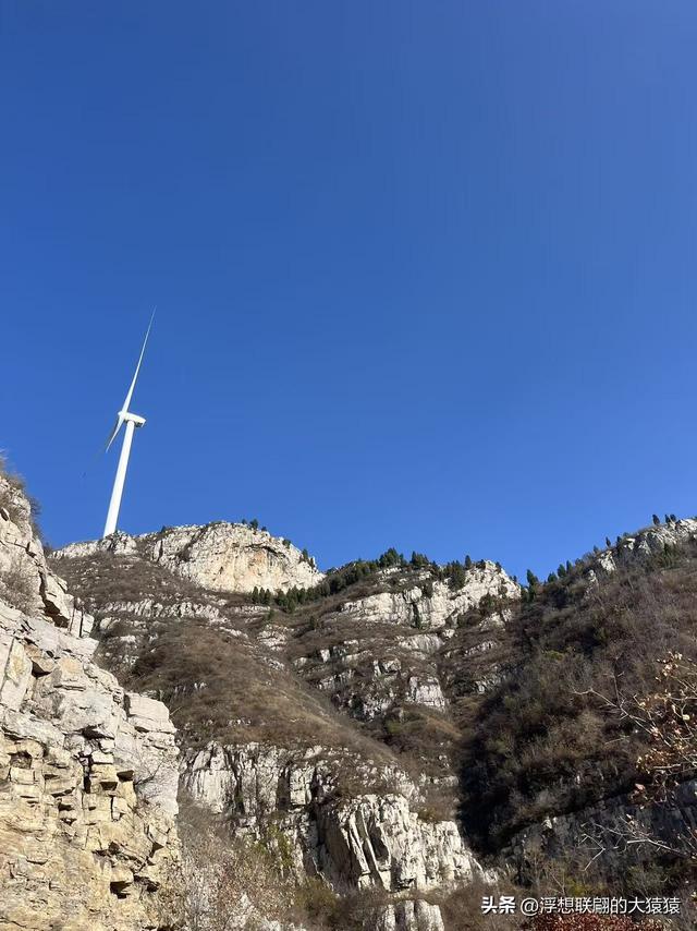 游赏过九鼎山后，我又跑到一户院里“强买”了大爷种在路边的白菜