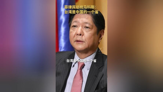 中方作出决定,不再同捷克总统交往,话音刚落,捷克回应2句话