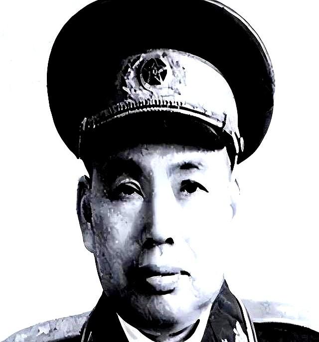 许世友下葬后，王震用拐杖指着参加葬礼的老将们：可千万不能学他
