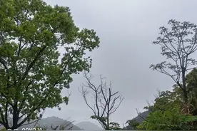 社会工作者证书什么用？怎么准备！来听听过来的人的经验之谈图片