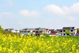 农村房屋确权，3种情况，子女不能继承农村的宅基地！图片