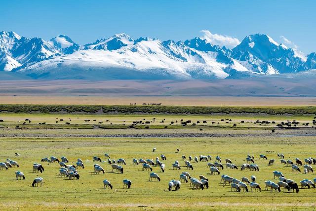 从北京出差新疆	，毫不客气的说，新疆的“大”，真不是吹出来的！