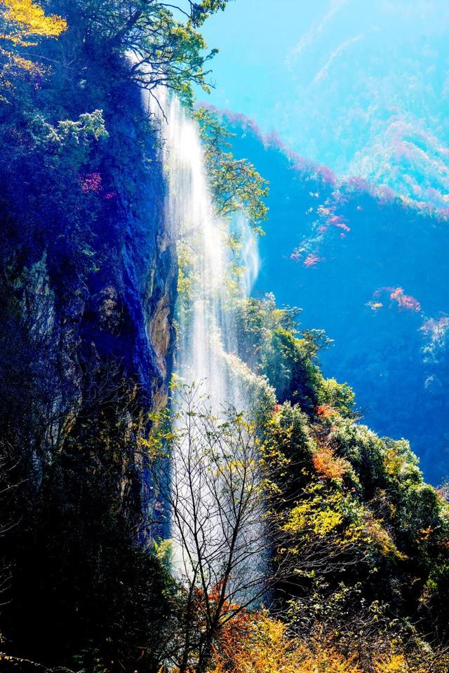 走不出这画了，我已被平武的彩林迷倒！