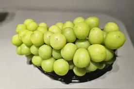 “葡萄界的爱马仕”！大！降！价！宜兴正大量上市图片