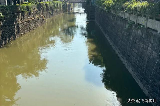 人老了要明白,女婿就是你家风水,想要风水不坏,就得做到这4点