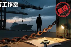 清流|深挖锦州港造假案：虚假贸易的另一种真相图片