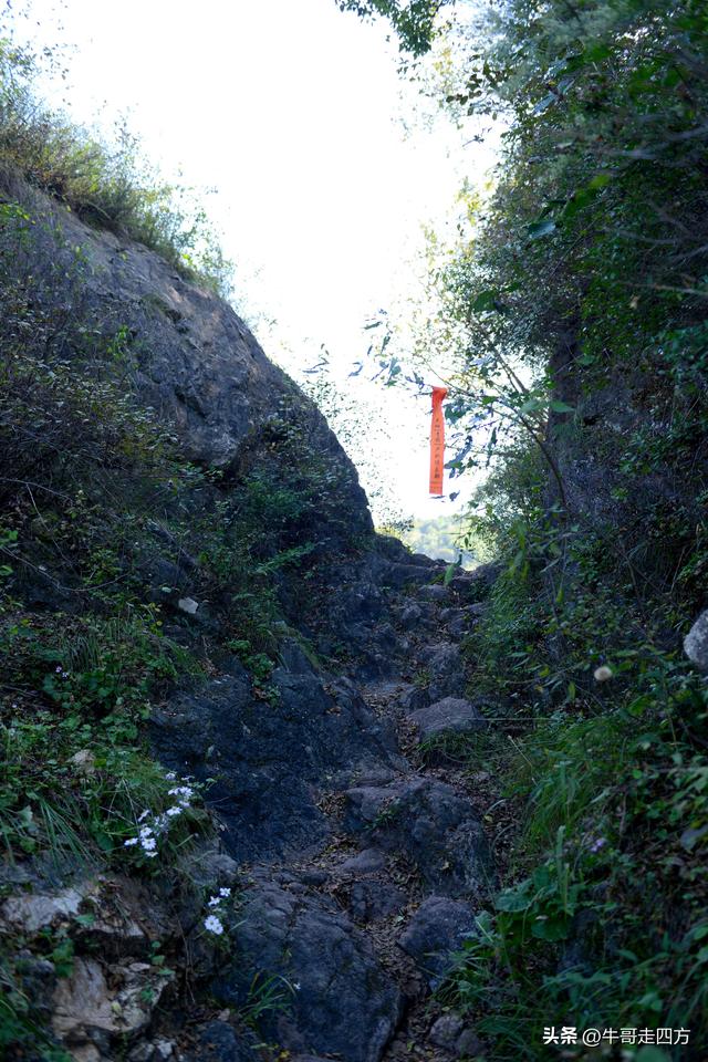 延庆应梦寺（五）：山巅极目收千嶂，林海听风涤尘心