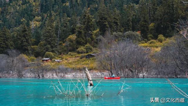 美爆了！在西藏波密，闯入现实版《绿野仙踪》！