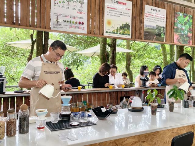 住进远山 独享醇香——思茅区“用一场咖旅 打开一城咖香”系列报道①