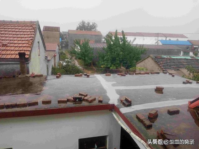 这不是迷信！“最怕立冬是雨天	”，今日立冬	，下雨啥预兆？