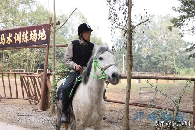 近悦远来·营城兴业丨逛营地、骑骏马！邛崃首家马术野骑营地开启乡村游玩新体验