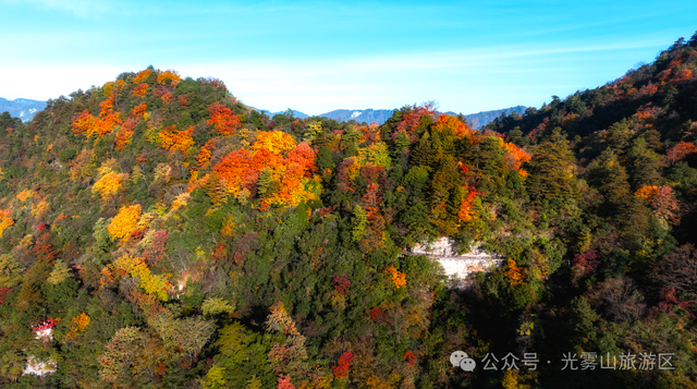 宝子你听我说，近期天气好、红叶美，光雾山可以冲了!