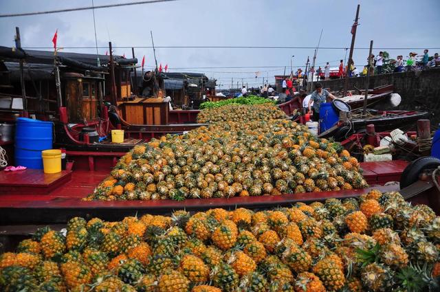 日本签字了	，高市选定中日主战场，对华开第二枪，解放军开始巡海