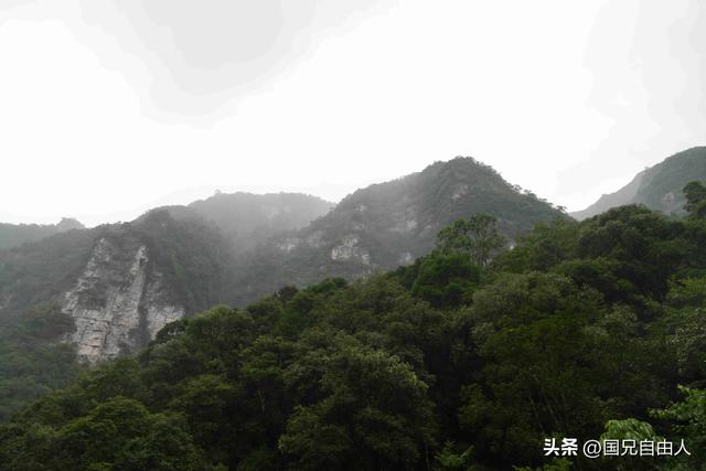 “渝黔生物基因库”黑山谷游记