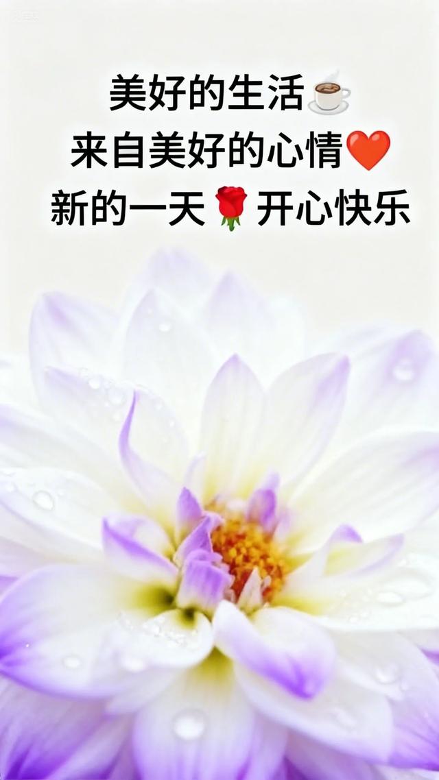 2025年9月16日早上好 早上好温馨问候语 早安精美淡雅图片 周二愉快