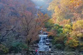 现在到立冬，最补的海鲜不是海参和大虾，而是这3种，应季正肥美图片