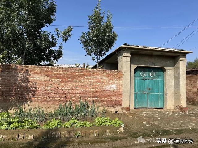 冠县乡韵·兰沃乡大柳邵村