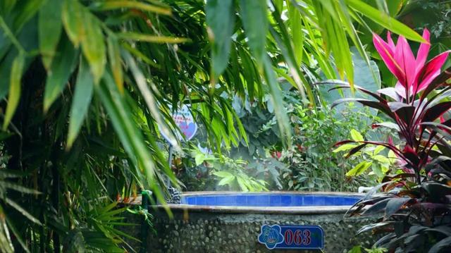 四季皆宜的诗和远方