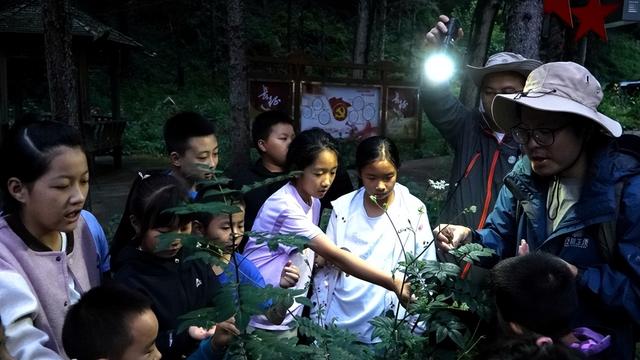 雅安宝兴：探秘青衣江源 沉浸式体验生物多样性的魅力