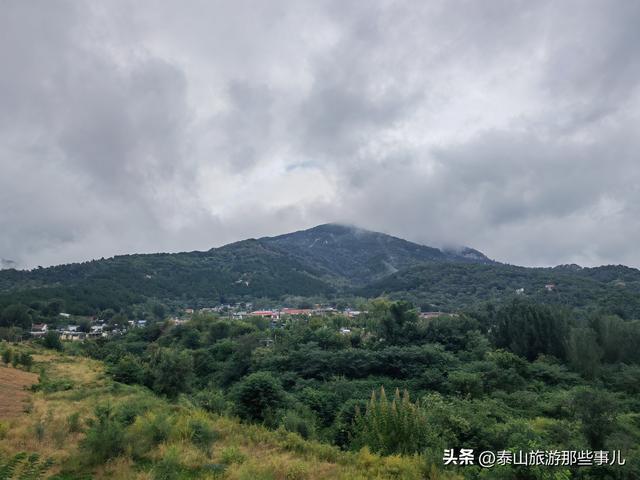 泰安：一场秋雨后，在虎山步道遇见了泰城最静的秋，而心则更静