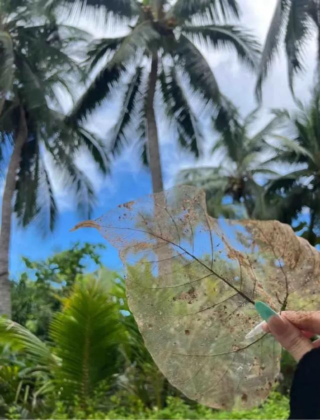 这可能是我买过的最离谱的特产: