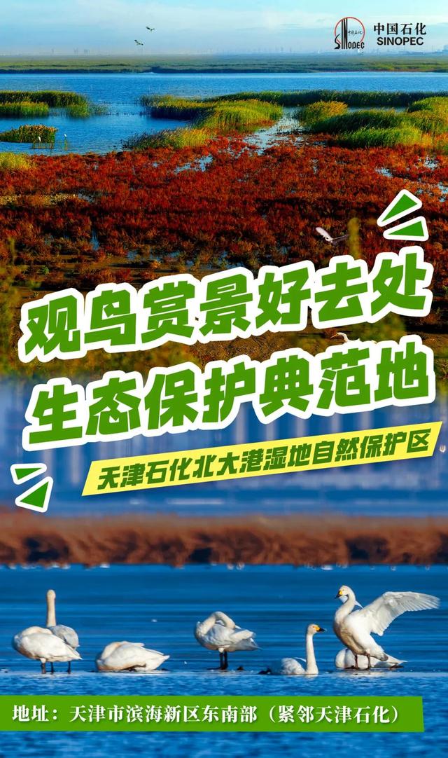 这么近那么美，周末到……中国石化！