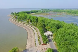 环洪泽湖公路高蒋线入选“江苏最美农路自驾游线路”图片