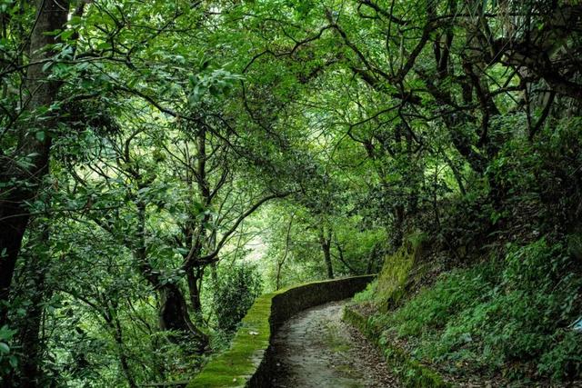 逛古村，喝咖啡，高端的度假就是这么朴实无华
