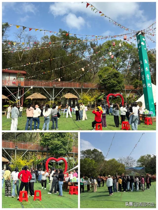 【免费观看】路园相连桥花相映|三月清远鱼水网红树正含苞待放