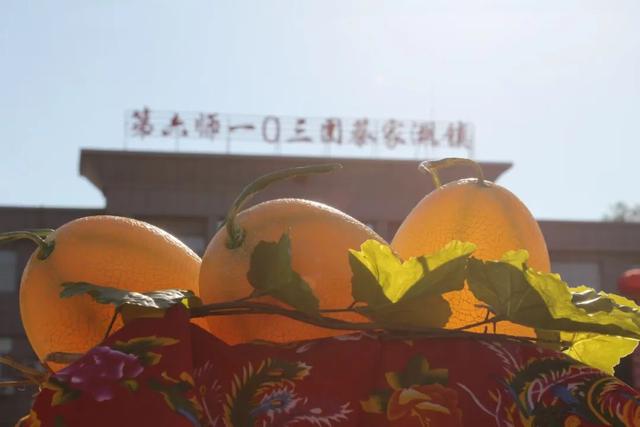 一〇三团第十一届甜瓜文化旅游季盛大启幕