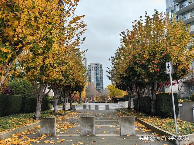 温哥华游记（六）