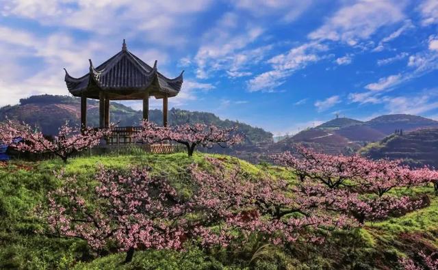 不枉等了一年！宁德赏桃花地图，春日顶流浪漫暴击~