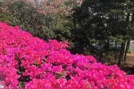 1978年入读高校的学生后来成为院士的哪家强？图片