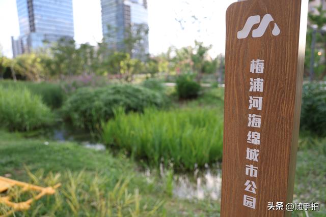 实拍江苏苏州昆山花桥梅浦河海绵城市公园，“会呼吸”的绿地