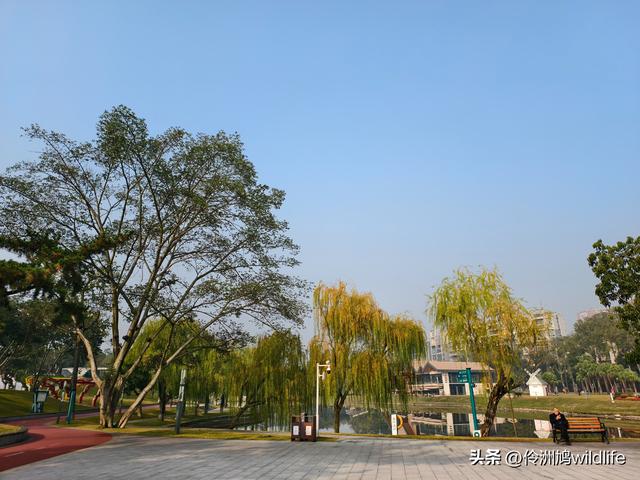 四川行(75)广汉②金雁湖公园·黑塔街·龙居寺