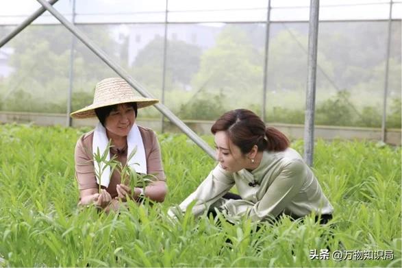 李鹏总理儿媳罕见留影，五官端正长相大气，爷爷功勋卓著比肩元帅