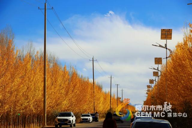 收藏！格尔木秋日美景，这份视觉盛宴千万别错过