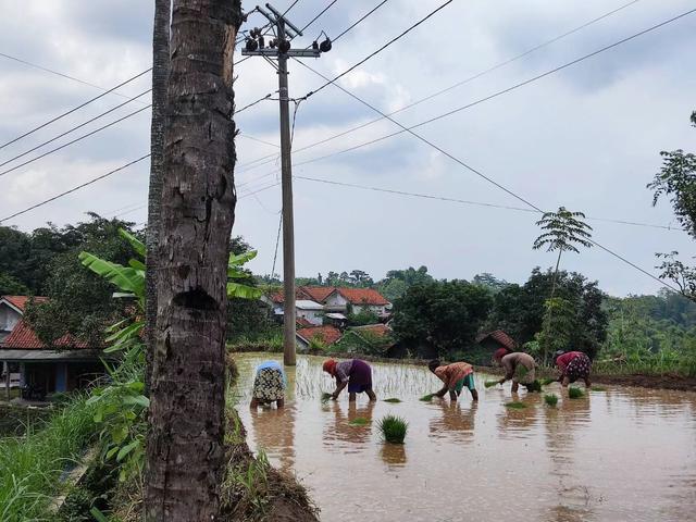 来去如风，骑着摩托穿越印尼爪哇岛乡村