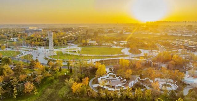 打卡定州限定秋景！