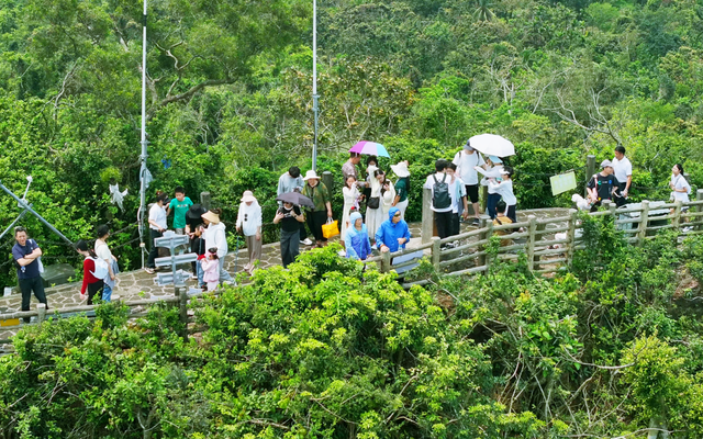 海口康养之旅，我会选择从自然疗愈与温泉养生开始